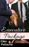 Executive Package (Office Toy Book 6)