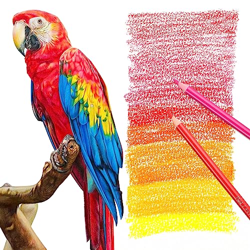 Vibrant 75-Pack Colored Pencils for Adult Art