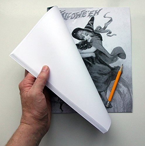 Halloween Grayscale Adult Coloring Book – 24 Pages