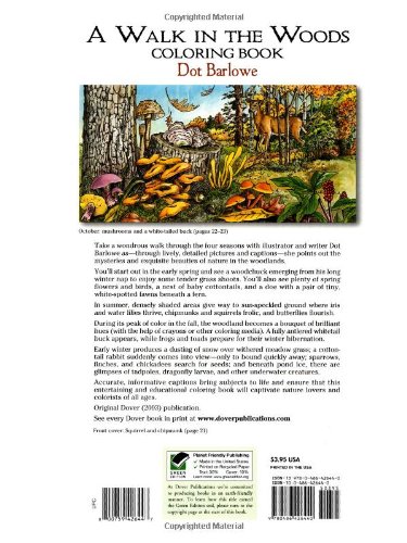 Woodland Adventure Coloring Book