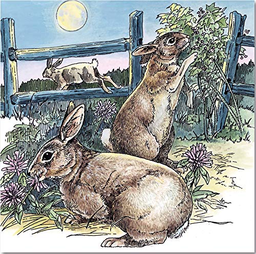 Woodland Adventure Coloring Book