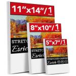 Multi Pack Painting Canvases - 3 Sizes
