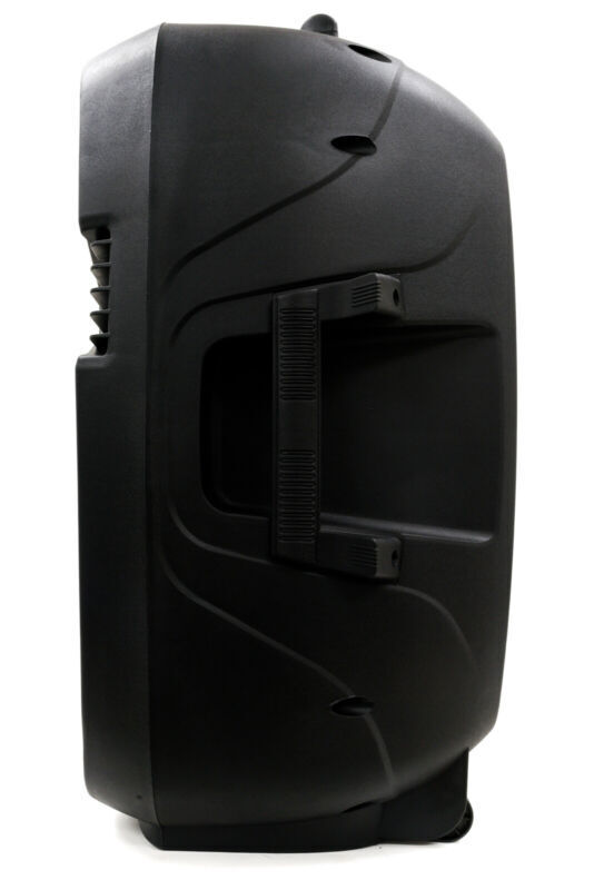 15 Inch Bluetooth DJ Karaoke Speaker Set with Mics