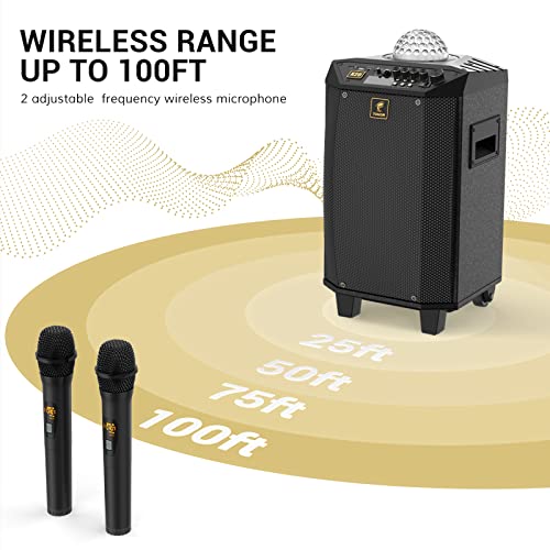 TONOR Portable Karaoke Machine with 2 Microphones