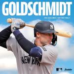 Franklin Sports Youth MLB Digi Camo Batting Gloves, White/Navy/Red, Medium