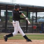 NURIBASE Batter's Leg Guards, Baseball/Softball Leg Guard, Adult and Youth Size - Black Youth