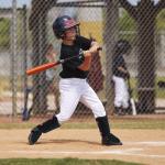 NURIBASE Batter's Leg Guards, Baseball/Softball Leg Guard, Adult and Youth Size - Black Youth