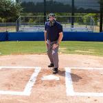 Champion Sports Umpire Leg Guards: Single Knee Umpire’s Shin Guard for Baseball & Softball - Pair of 16.5" Umpiring Shin Pads for Adults - Black