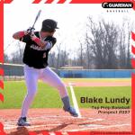 Guardian Baseball Leg Guard Youth and Adult | Right & Left Handed Hitters | Baseball Shin Guards Batting | Ankle Guard | Adjustable | Lightweight Flexible - Adult, Neon Coral