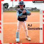 Guardian Baseball Leg Guard Youth and Adult | Right & Left Handed Hitters | Baseball Shin Guards Batting | Ankle Guard | Adjustable | Lightweight Flexible - Adult, Neon Coral