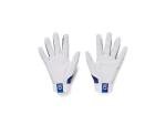 Under Armour Men's Clean Up Baseball Gloves, (102) White/Team Royal/Team Royal, Large