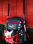 Rawlings | REMIX Backpack Equipment Bag | T-Ball & Youth Baseball / Softball | USA
