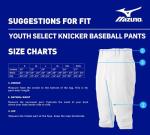 Mizuno Youth Select Short Knicker Baseball Pant, Below the Knee Fit (White, Medium)