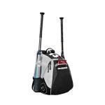 DeMarini Voodoo Junior Baseball Backpack - Team White