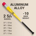 Pencil Bat - Novelty Backyard Baseball Games Gift - Youth Metal Baseball Bat - 2 5/8" Aluminum Barrel with Balanced Weight and Durable Finish (29" 19oz)