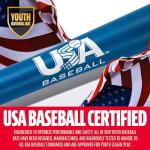 Franklin Sports Metal Youth Baseball Bat - Heist Kids Bats for Ages 8-12 - 2 5/8" Inch Big Barrel - Youth Drop -10 Aluminum Bats - USA Baseball Approved - 29" Inch / 19oz. - Royal 1000