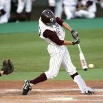 KRUI Baseball Leg Guard, Batter's Leg Guard Softball and Baseball Shin and Foot Guard with Adjustable Straps for Youth and Adult