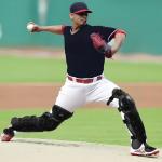 CEPHKY 2 Pack Softball/Baseball Knee Leg Guard, Doulbe Leg Knee Savers for Youth/Adult Catchers, 16.8in Full Wing Shin Guards with Adjustable Straps, Fit Well and Comfortable, Black