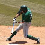 Hikeen Baseball Leg Guard Batter's Shin and Foot Shield with Adjustable Straps Batting Softball Gear Suitable for Right Hand & Left Hand Hitters for Kids