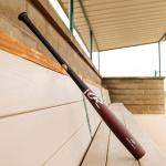 Rawlings | Torpedo Barrel JT39 Birch Wood Baseball Bat | Pro Preferred Collection | 34 inch