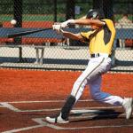 Beutyal Baseball Leg Guard, Batter's Leg Guard Softball Baseball Shin Guard for Adult Black Catcher Leg Guards with Adjustable Strap