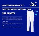 Mizuno Boys Youth Prospect Baseball Pant, White, Small US