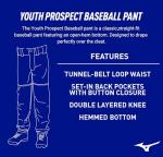 Mizuno Boys Youth Prospect Baseball Pant, White, Small US