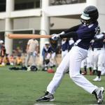 Wooden Baseball Bat 34" 32" 30" 28" for Adult Mens Wood Bats Lightweight Solid Wood Baseball Bats