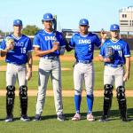 Beutyal Baseball Softball Catcher Leg Guards Shin Guards Adult 15 Inch