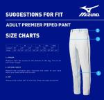 Mizuno mens Premier Piped Pant, White-black, Medium US
