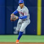 Rawlings | Sure Catch Series Youth Baseball Glove | F. Lindor | 11.5' | RHT | Gray