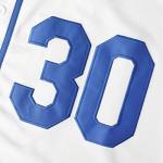 The Sandlot Benny The Jet Rodriguez Michael Squints Palledorous Alan Yeah-Yeah McClennan Bel Air 3D Print Baseball Jersey (Large, 30-Blue White)