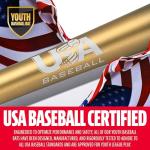 Franklin Sports Metal Youth Baseball Bat - Heist Kids Bats for Ages 8-12 - 2 5/8" Inch Big Barrel - Youth Drop -9 - USA Baseball Approved - 26" Inch / 17oz. - Black Heist 900