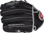 Rawlings | Sure Catch Series Youth Baseball Glove | A. Judge | 11' | RHT | Black