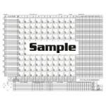 Big Red Enlarged Detailed Baseball/Softball Scorebook