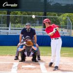 Champion Sports 17" Outside Plastic Shield Pro Model Umpire Chest Protector - Soft Foam Padded Chest Protector - Adult