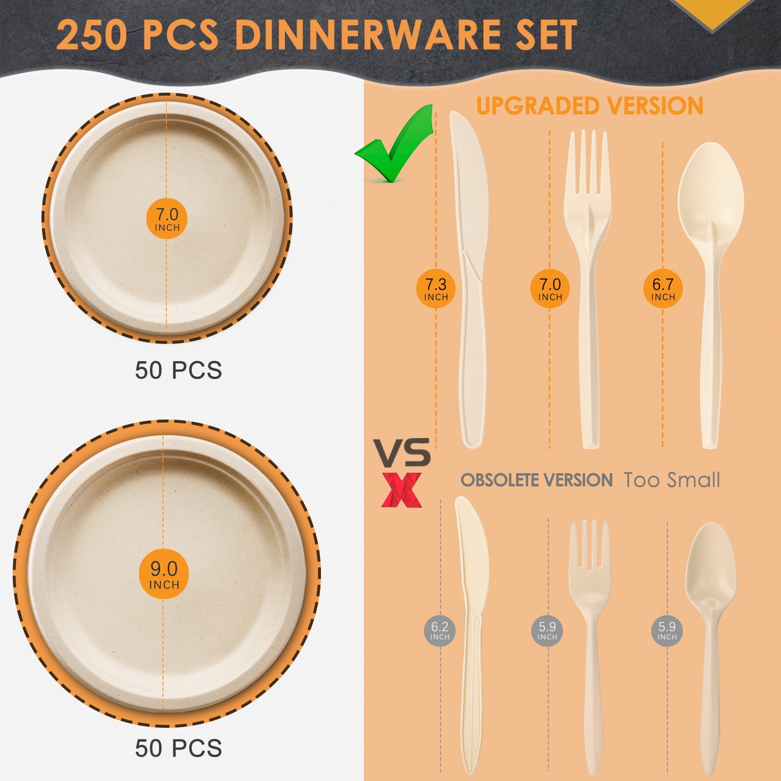 250 Biodegradable Paper Plates and Utensils Set