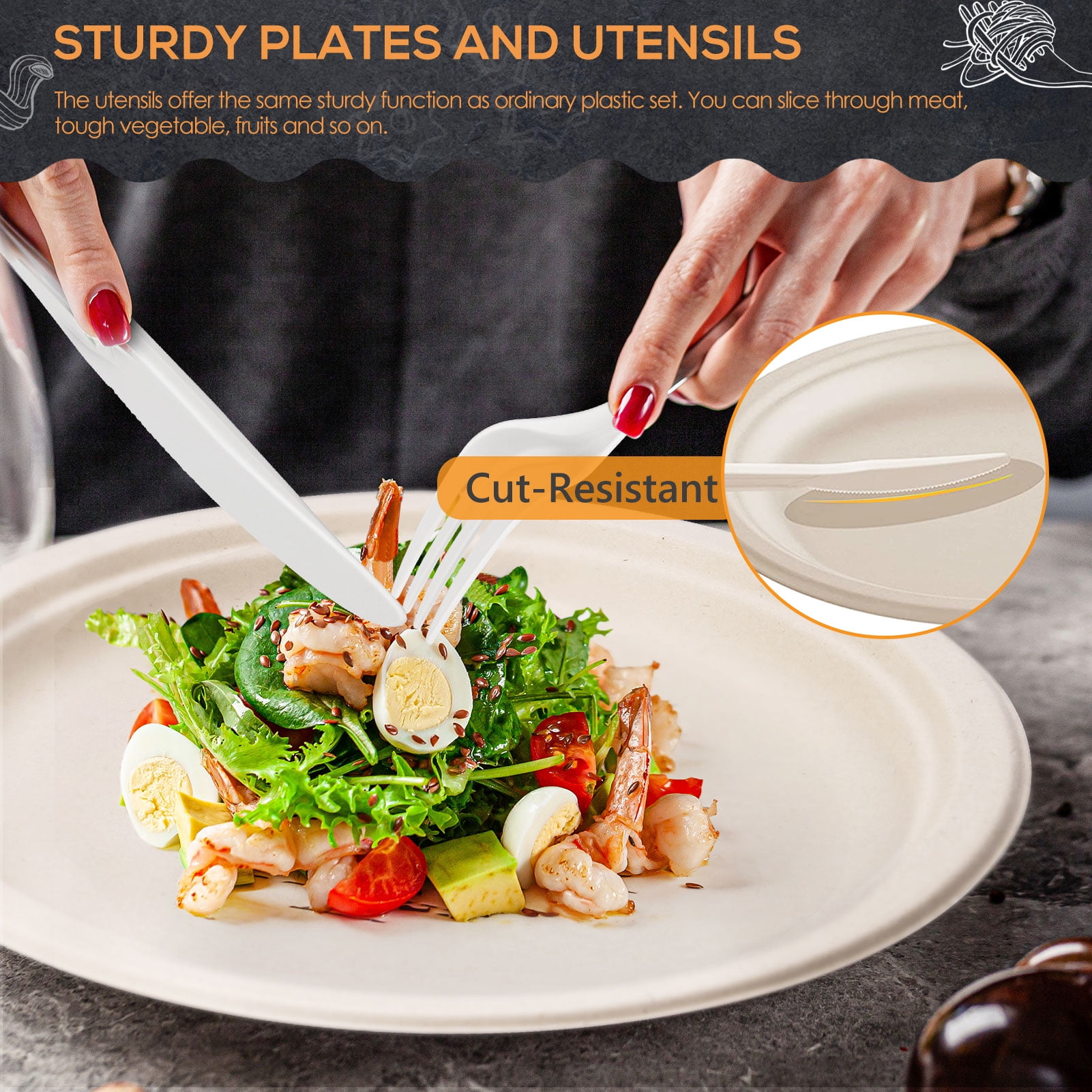 250 Biodegradable Paper Plates and Utensils Set