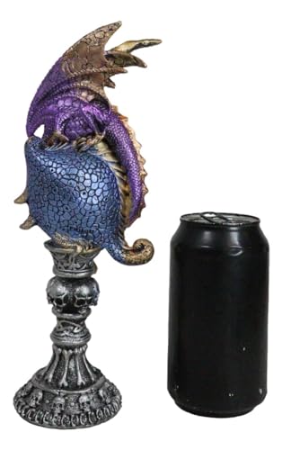 Purple Twilight Dragon on Alchemy Skull Figurine