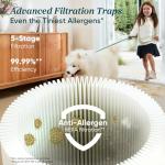 LEVOIT Cordless Vacuum Cleaner with HEPA Filter, Stick Vac with Tangle-Resistant Design, Up to 60 Mins, Powerful Suction, Lightweight, Mini Motorized Brush, for Carpet, Hard Floor, Pet Hair, LVAC-300