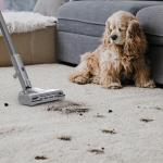 Black+Decker Powerseries+ Corded 4 in 1 Stick Vacuum, Upright to Hand-Vac Multi Surface, LED Floor Head, HEPA Filtration, Powerful 14k Pa,for Hard Floor, Low Carpet, Pet Hair Home & Office use, Grey