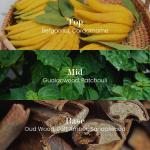 Oud Wood Scented Natural Soy Candle in Jar