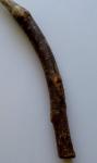 Hazel Wood Handmade Magic Wand for Rituals