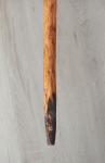 Cernunnos Antler Sun Wand for Rituals