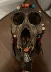 Tibetan Shamanic Monkey Skull Ritual Wand