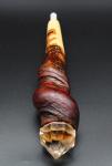 Hazelwood Wand for Spiritual Rituals and Spells