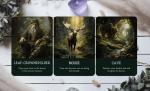 Enchanted Forest Oracle Card Deck & Guidebook