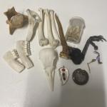 Gothic Animal Skull Decor for Unique Spaces