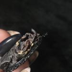 Gothic Crow Heart Pendant for Unique Self-Care