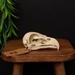 Museum-Quality Bald Eagle Skull Replica